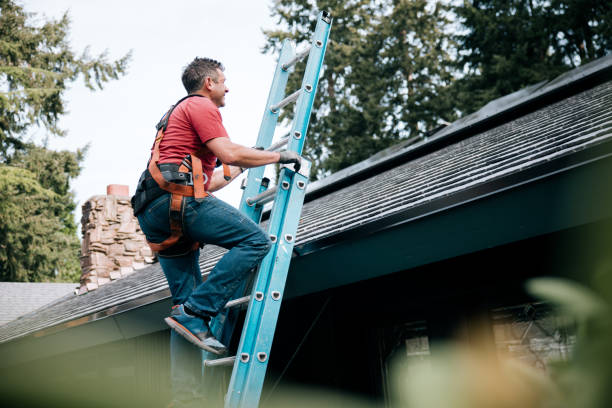 Best Sheet Metal Roofing  in Indian River, MI