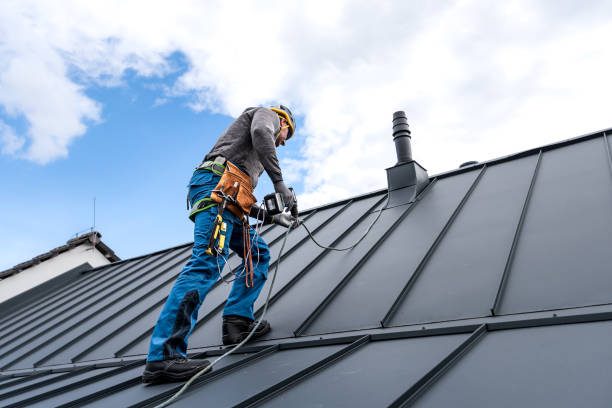 Best Roof Coating and Sealing  in Indian River, MI